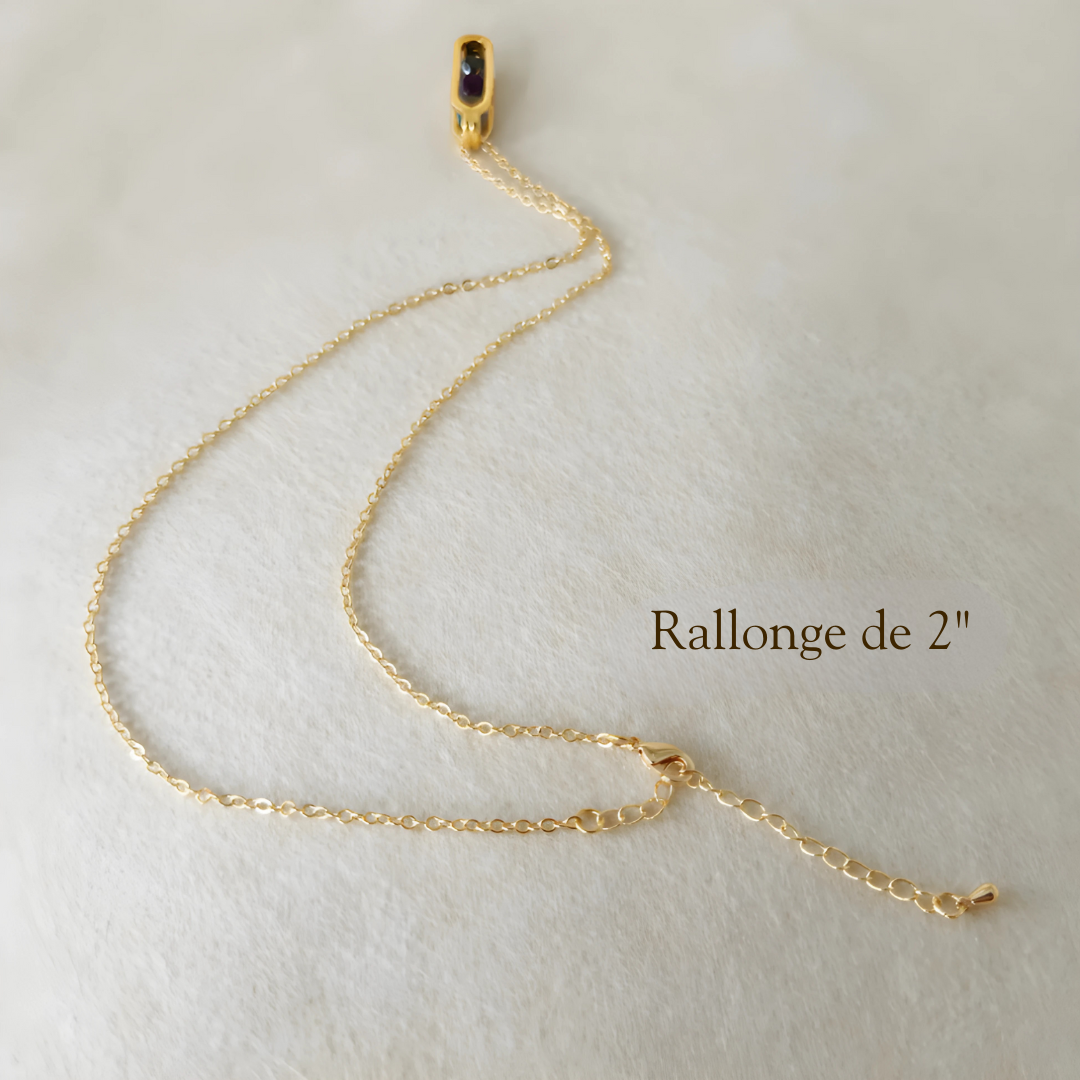 Collier de Protection Empathique